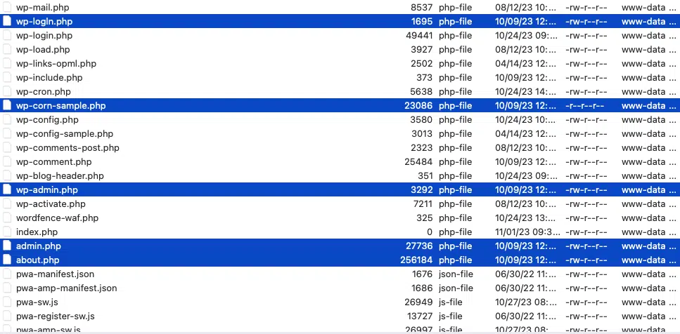 [Resolved] Additional files added by backdoor attack on WordPress websites, know how to fix it.